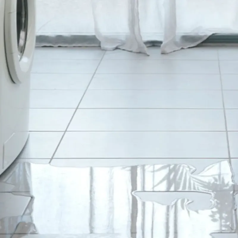 Appliance Leak Cleanup in Plains, TX
