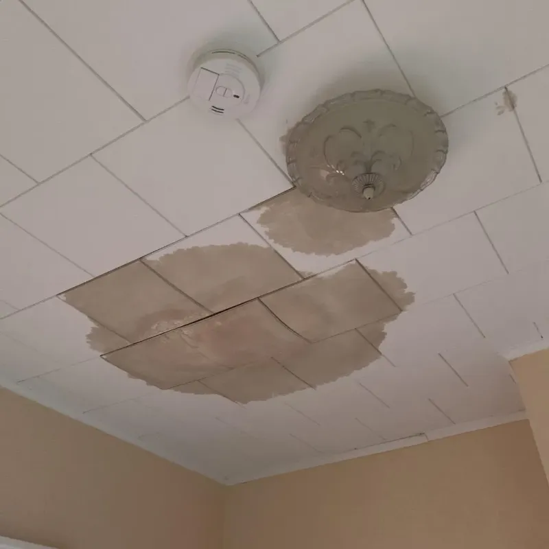Ceiling Water Damage Repair in Plains, TX