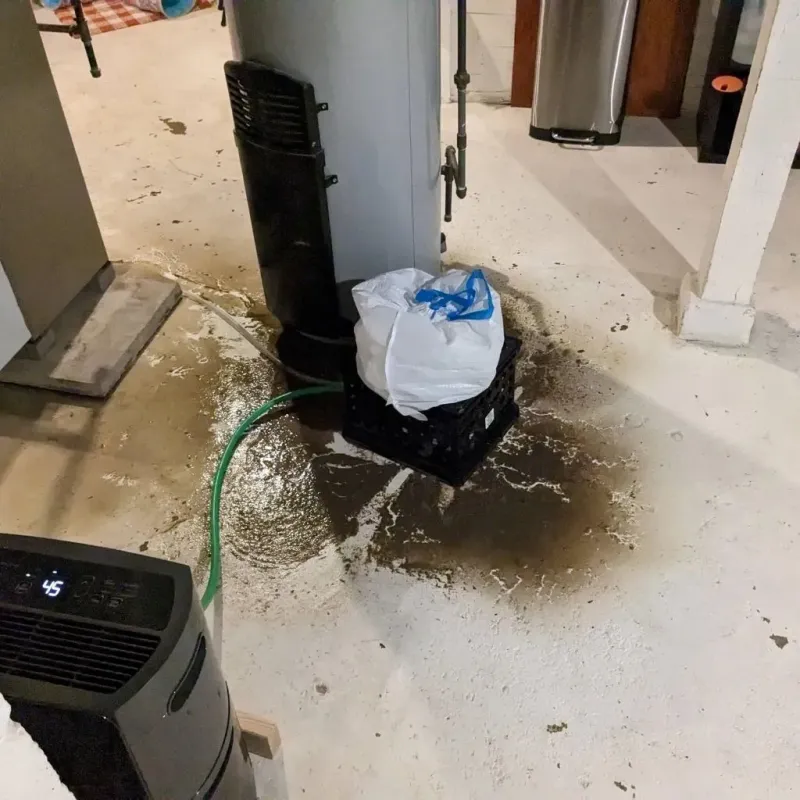 Sewage Backup Cleanup Service in Plains, TX